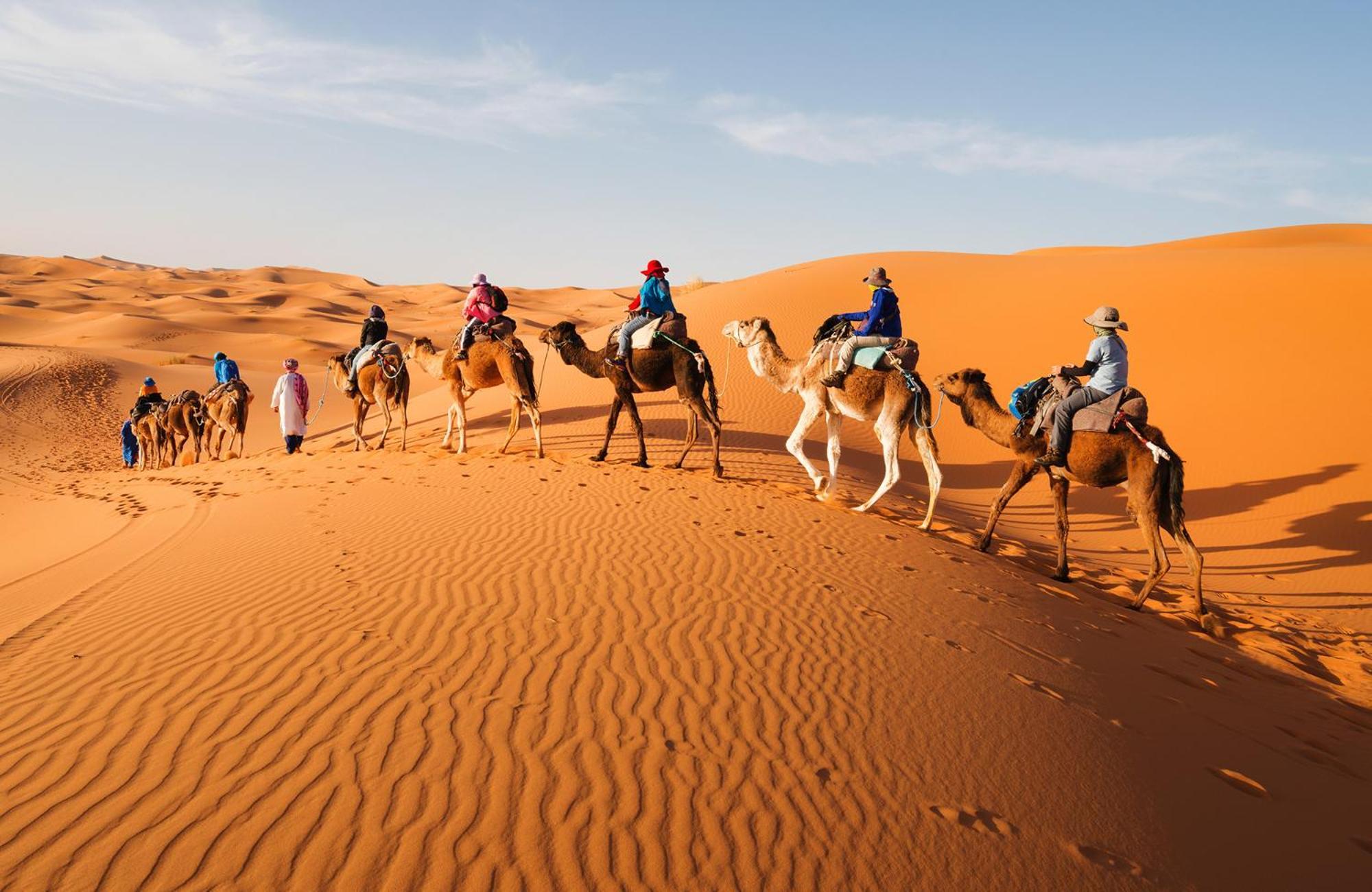 Young Luxury Camp مرزوكة المظهر الخارجي الصورة